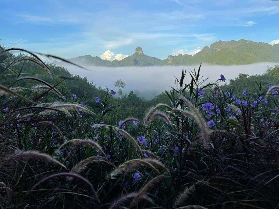 Por Sampao Camp&Resort Ban Pha Saeng Lang Екстер'єр фото